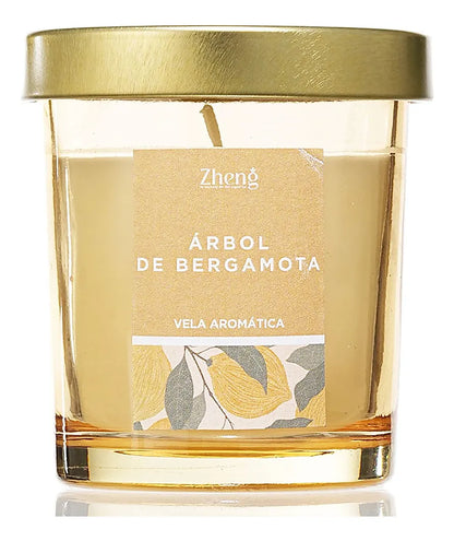 ZenGlow Garden – La Vela que Transforma tu Espacio